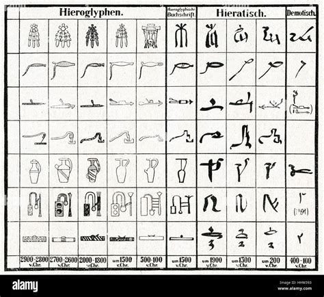 Ancient Egyptian scripts (hieroglyphs, hieratic and demotic).